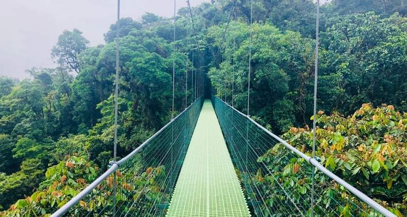 Hoe reis je van La Fortuna naar Monteverde?