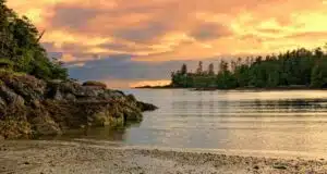 Ultimate List of Best Things to do on Vancouver Island