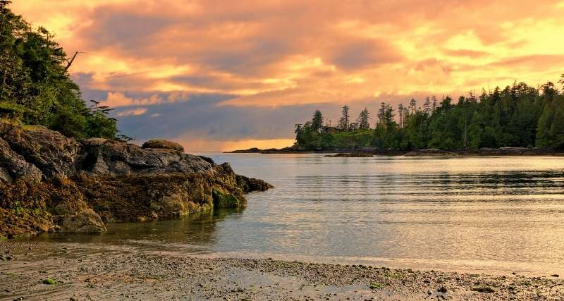 Lista definitiva delle migliori cose da fare sull'Isola di Vancouver