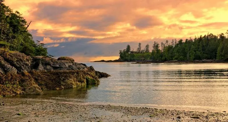 Ultimate List Of Best Things To Do On Vancouver Island