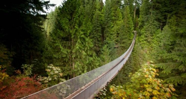 Vancouver Capilano Suspension Bridge Park Self Guided Tour