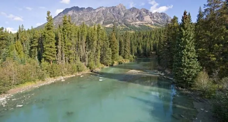 Visit The Fraser River In Canada3