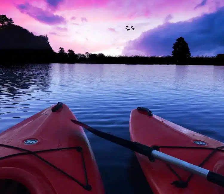 Ultimate List of Best Things to do on Vancouver Island 6 kayaks-what to do on vancouver island