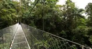 A hanging bridge in La Fortuna, Costa Rica.