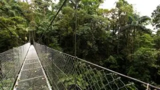 A hanging bridge in La Fortuna, Costa Rica.
