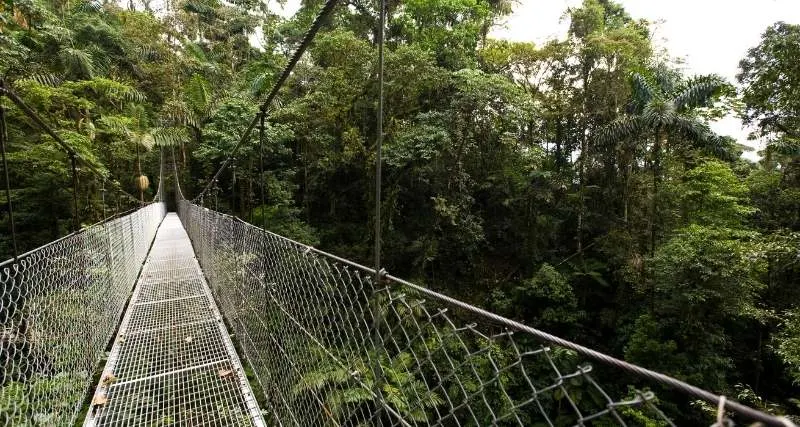 Un Puente Colgante En La Fortuna, Costa Rica.