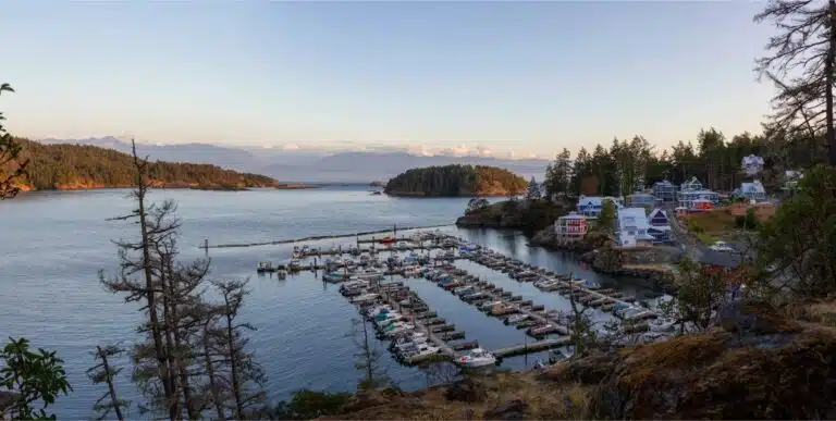 Ultimate List Of Best Things To Do On Vancouver Island