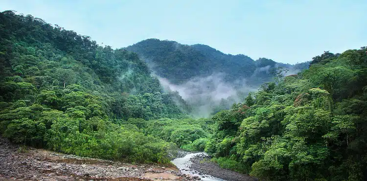 What makes Costa Rica the greenest and happiest country in the world? 2 Best Costa Rica Mountain Biking Tours