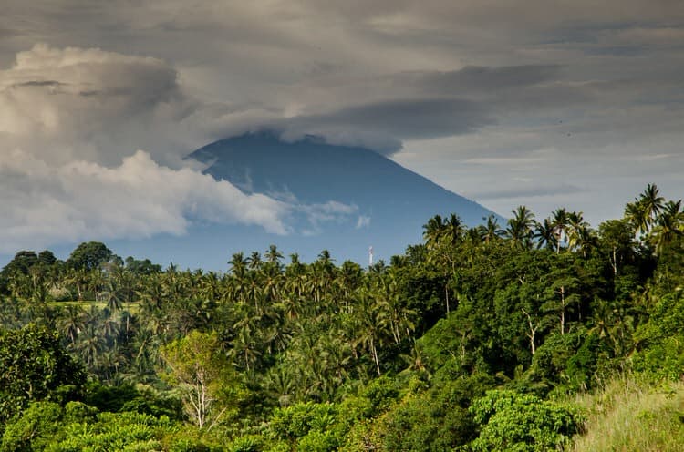 Beste regenwouden van Costa Rica