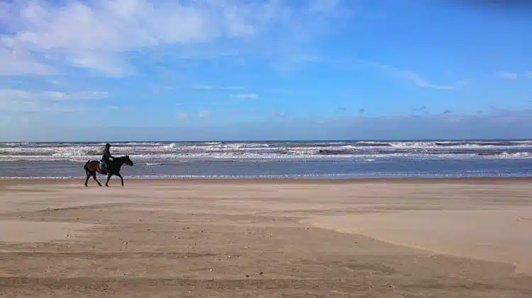 Best Horseback Riding Tours in Costa Rica 5 Best Horseback Riding Tours in Costa Rica