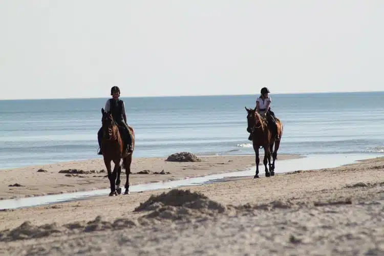 Best Horseback Riding Tours in Costa Rica 1 Best Horseback Riding Tours in Costa Rica