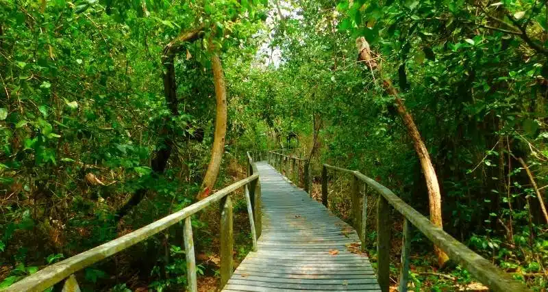 Cahuita National Park Costa Rica