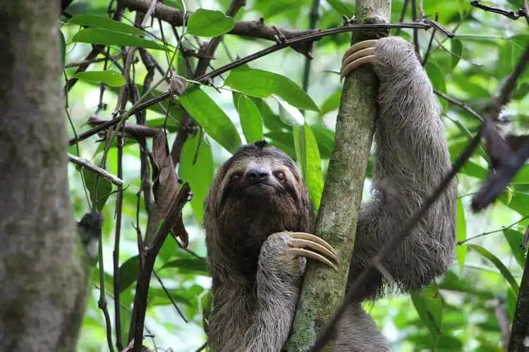 Where is Costa Rica located? 7 The Best Costa Rica National Parks