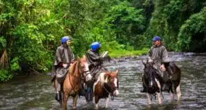 Best Horseback Riding Tours in Costa Rica