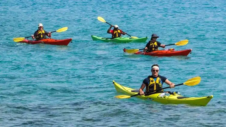 Mejores cosas que hacer en Isla Tortuga Costa Rica 19 Best Costa Rica Kayaking Tours1