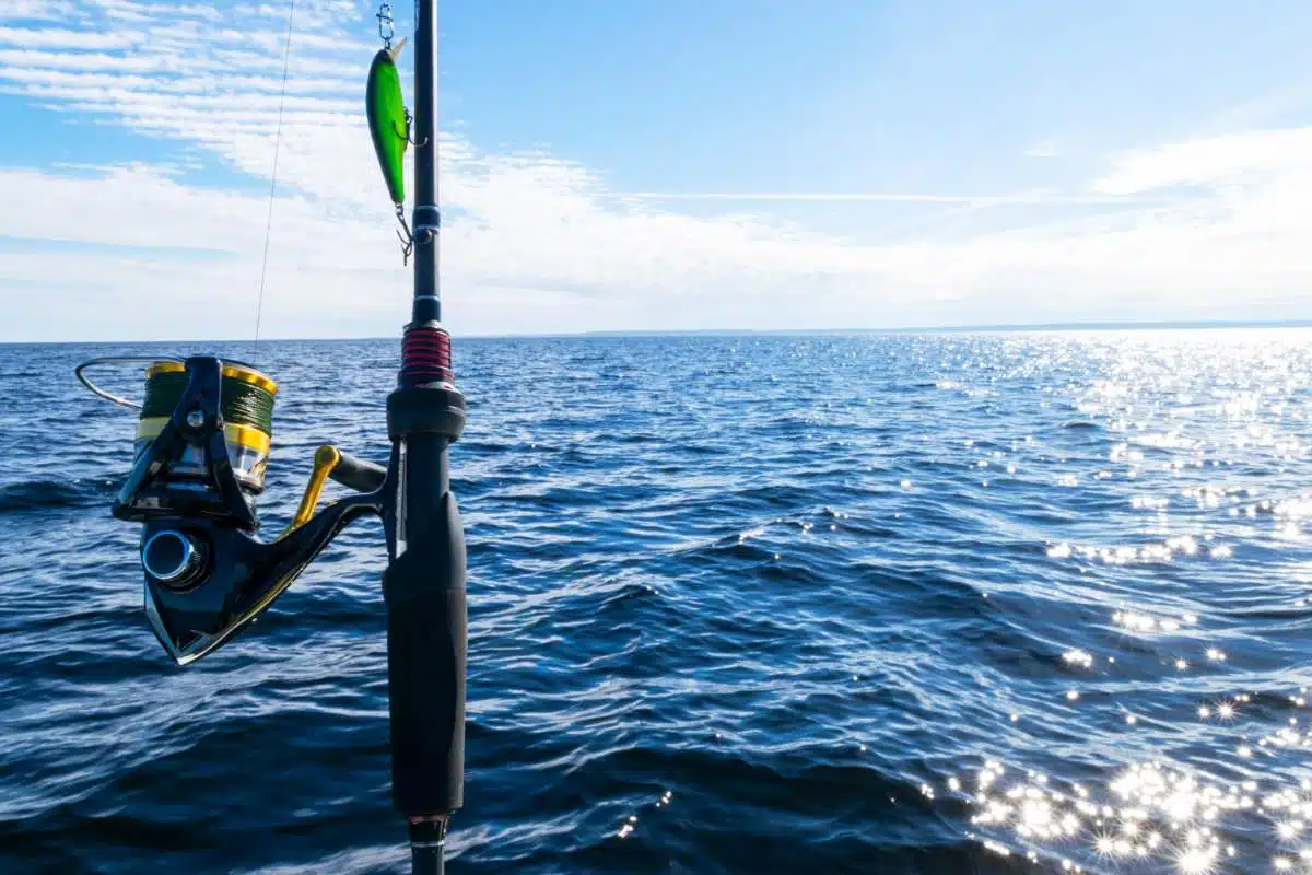 Pesca In Costa Rica: I Posti Migliori Per Pescare In Costa Rica