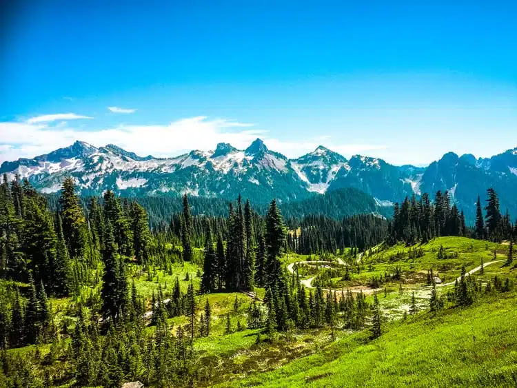 Parque Nacional Mount Rainier1