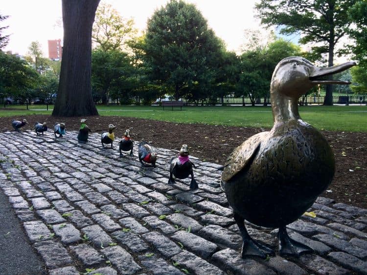 Boston Public And Common Gardens 1 Boston Activities