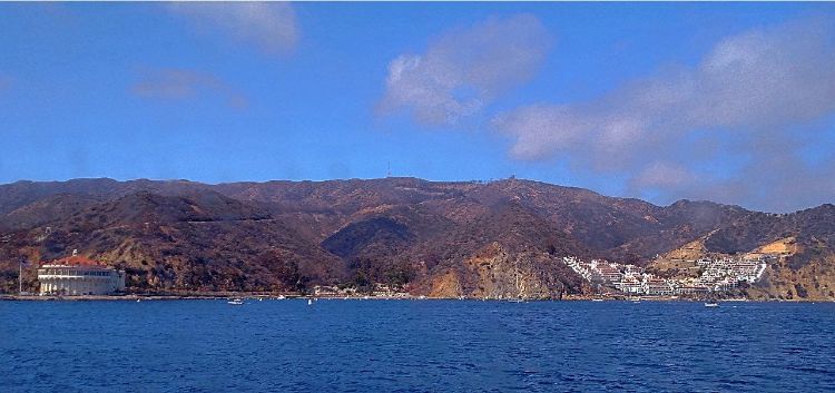Catalina-From-The-Ferry Things To Do In La
