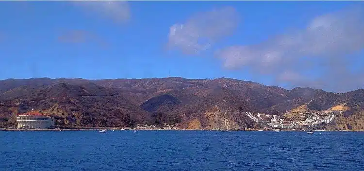 Catalina-From-The-Ferry Things To Do In La