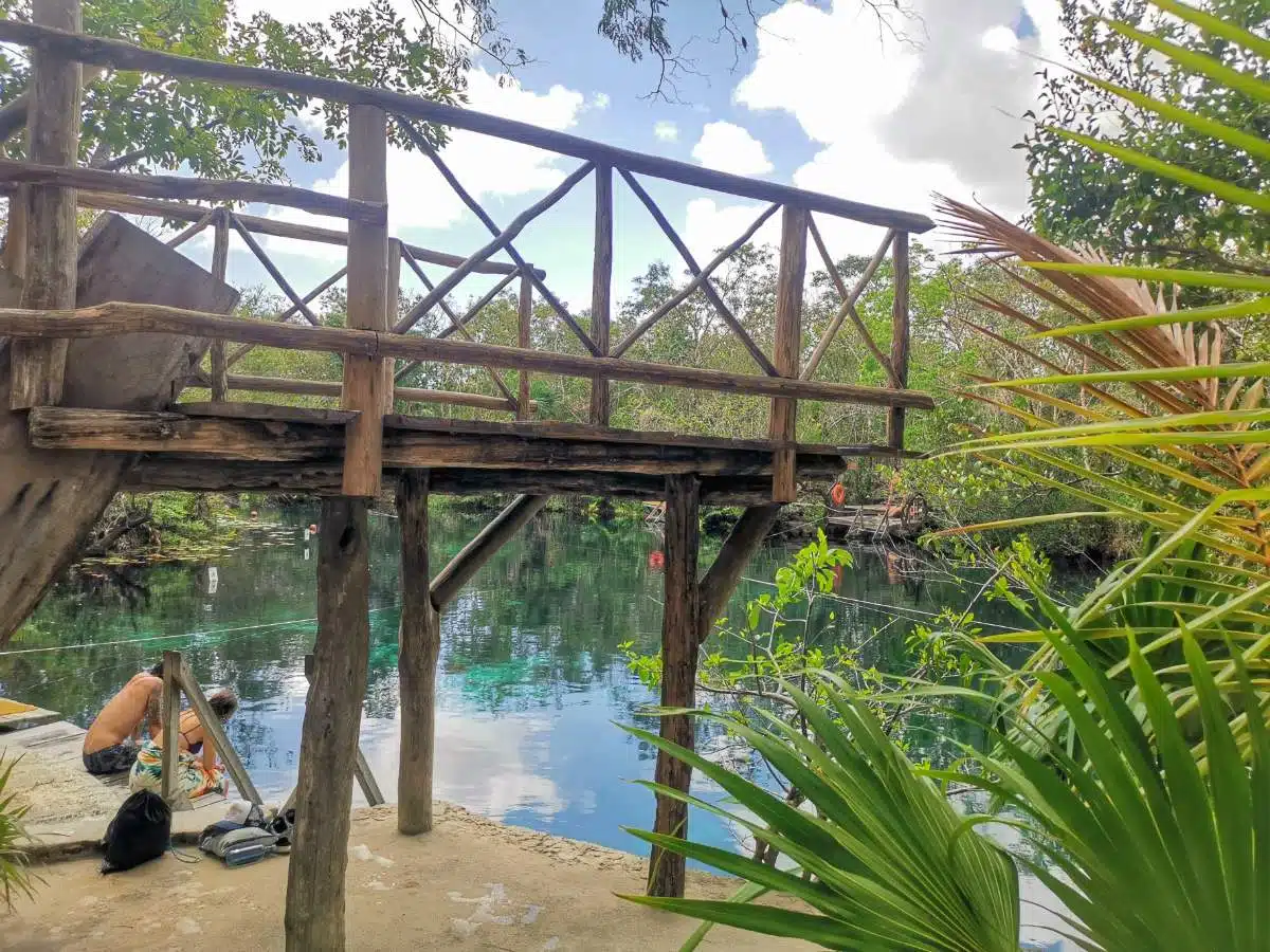 3. Cenote Aktun-Ha (Car Wash Cenote)