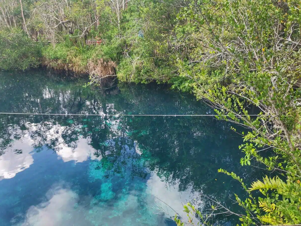 3. Cenote Aktun-Ha (Car Wash Cenote)