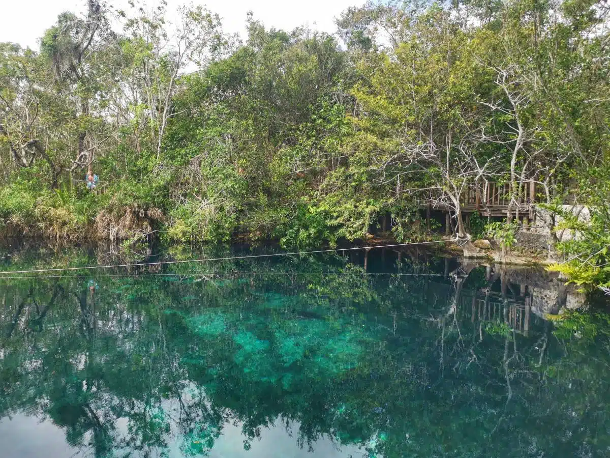 3. Cenote Aktun-Ha (Cenote De Lavado De Coches)