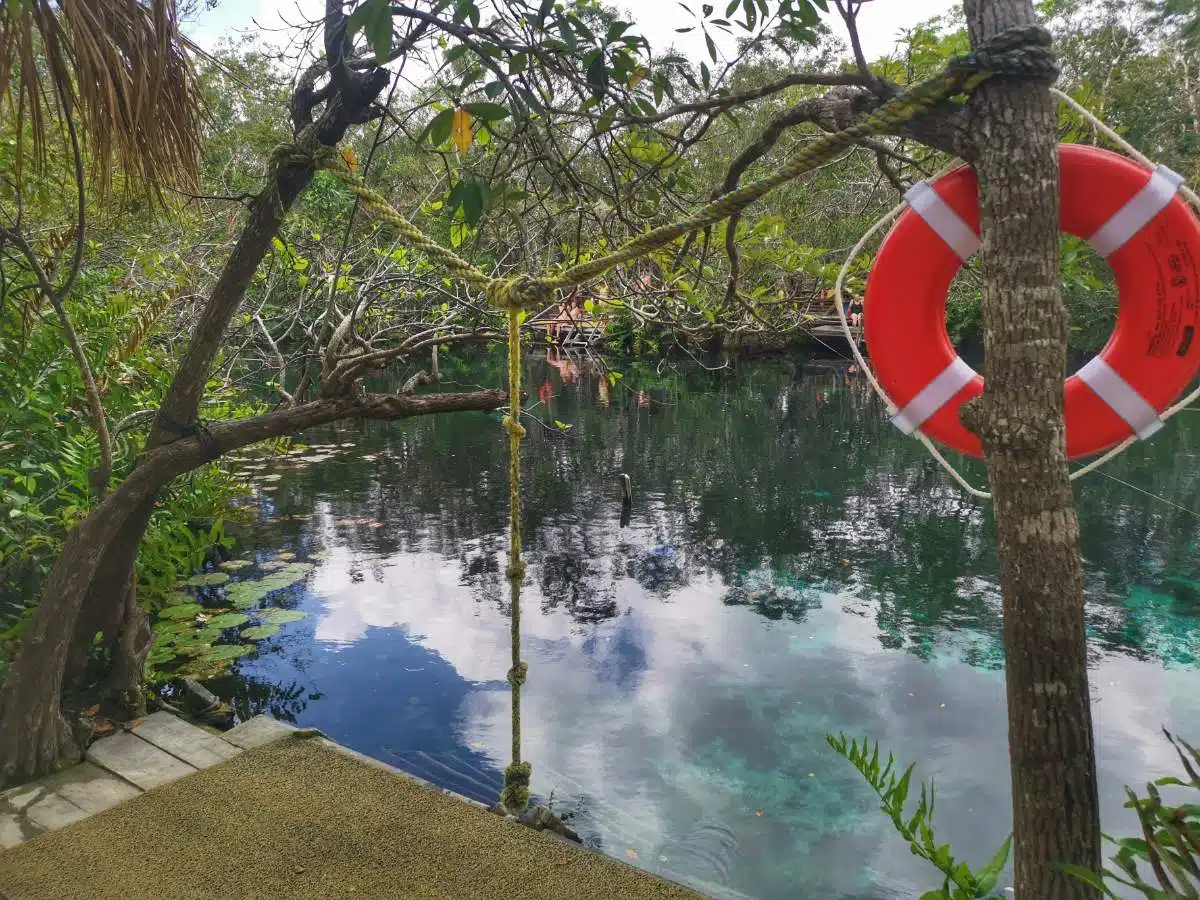 3. Cenote Aktun-Ha (Cenote De Lavado De Coches)