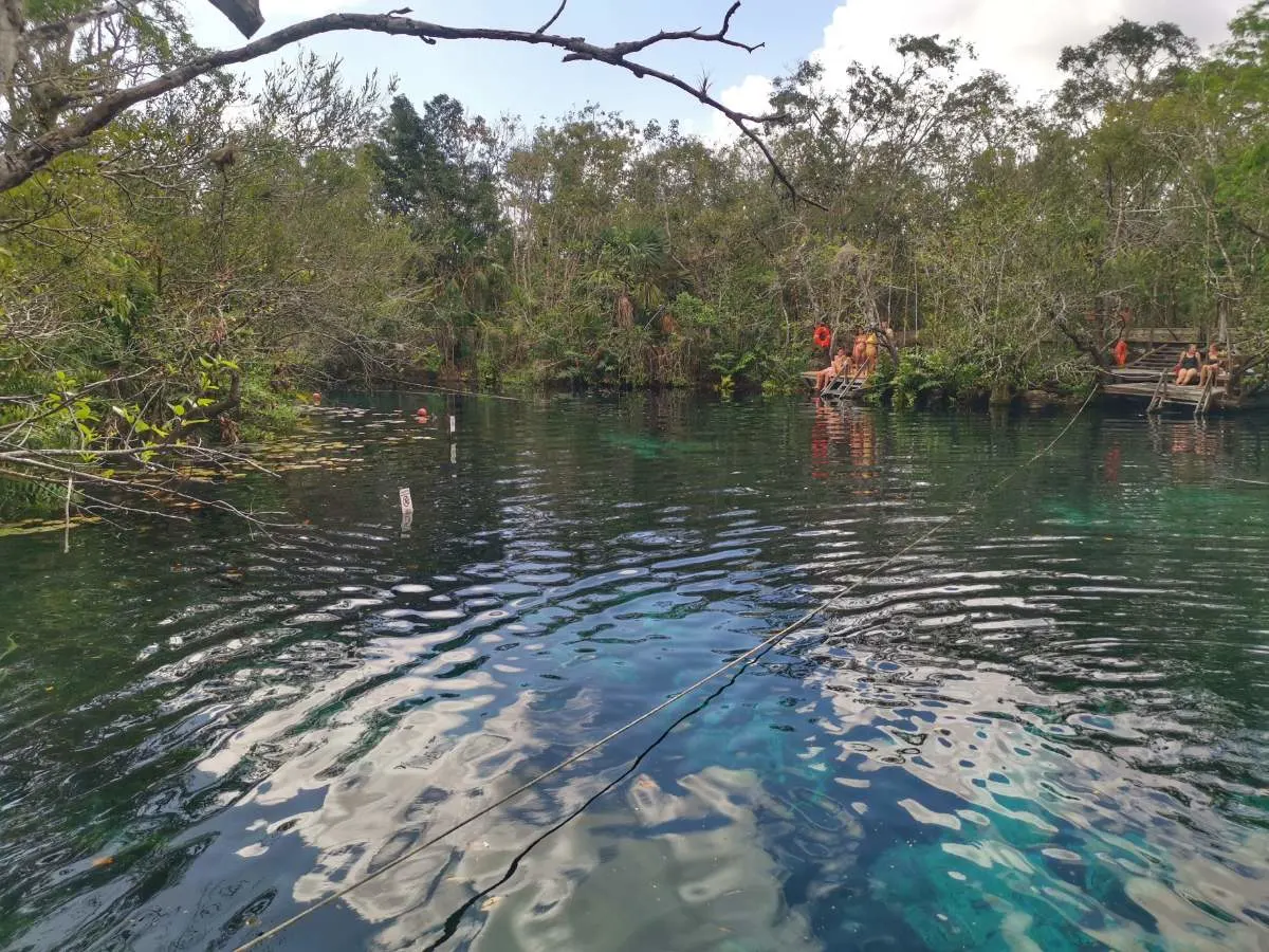 3. Cenote Aktun-Ha (Cenote De Lavage De Voiture)