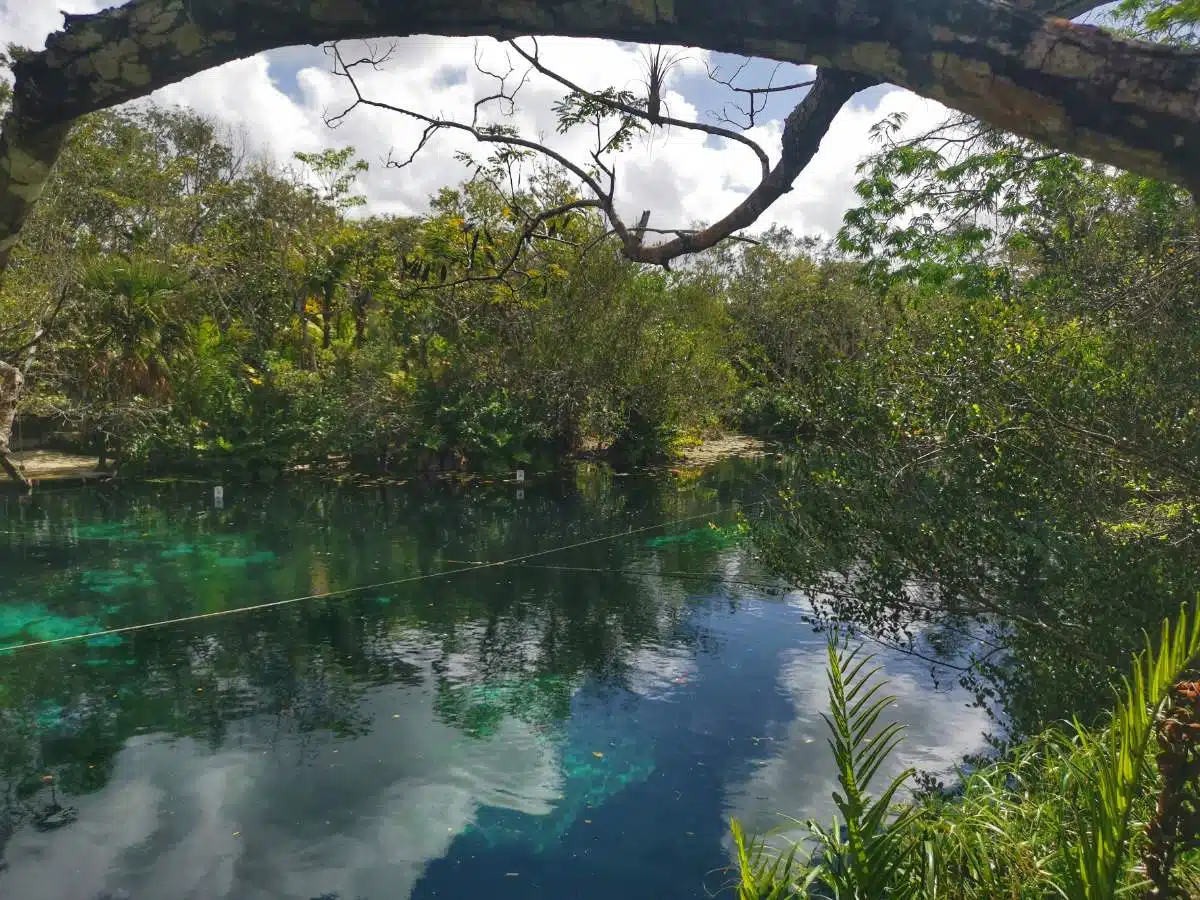 3. Cenote Aktun-Ha (Autowaschanlagen-Cenote)