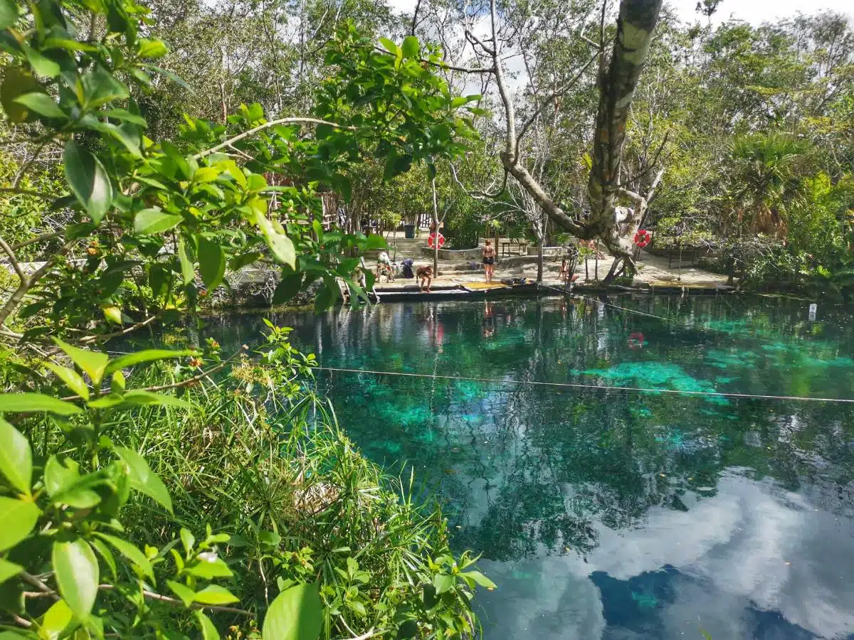 3. Cenote Aktun-Ha (Autowaschanlagen-Cenote)