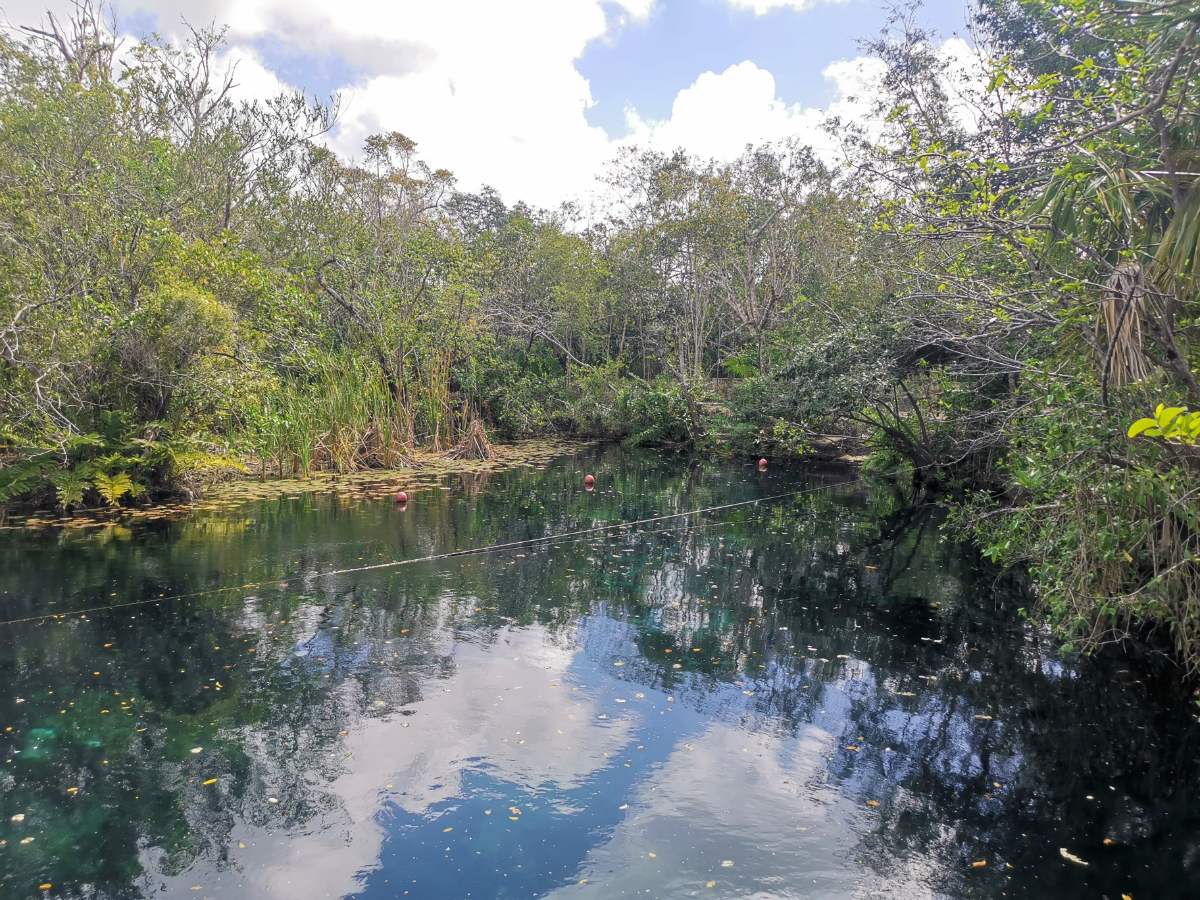 3. Cenote Aktun-Ha (Cenote De Lavage De Voiture)