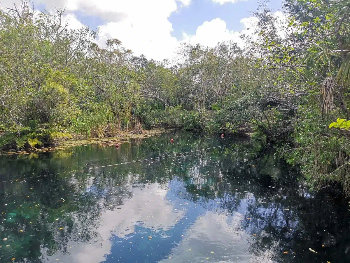 3. Cenote Aktun-Ha (Autowaschanlagen-Cenote)