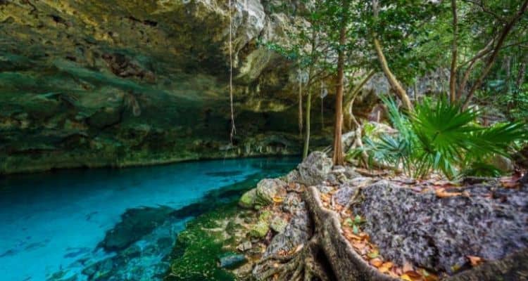 Cenote Dos Ojos Tulum4