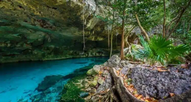 Cenote Dos Ojos Tulum4