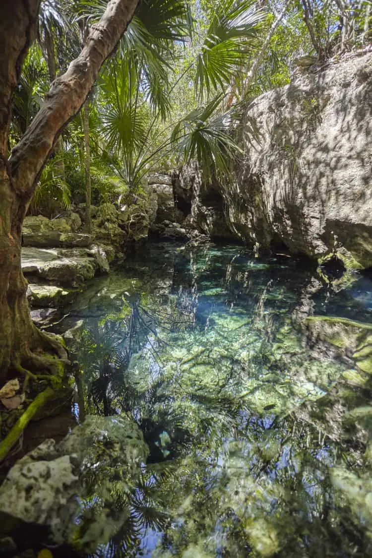 Die Schönsten Cenoten In Tulum Mexiko (Cenote Guide 2020) 25 Azul Cenote Tulum