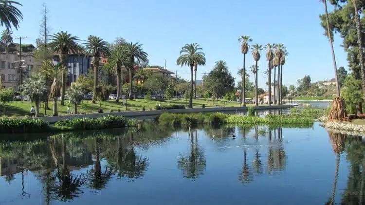 Qué Ver Y Hacer En Los Ángeles 20 Echo Park Lake Los Angeles