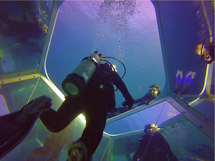 Exit-Scuba-Art-Catalina Island Things To Do In Los Angeles