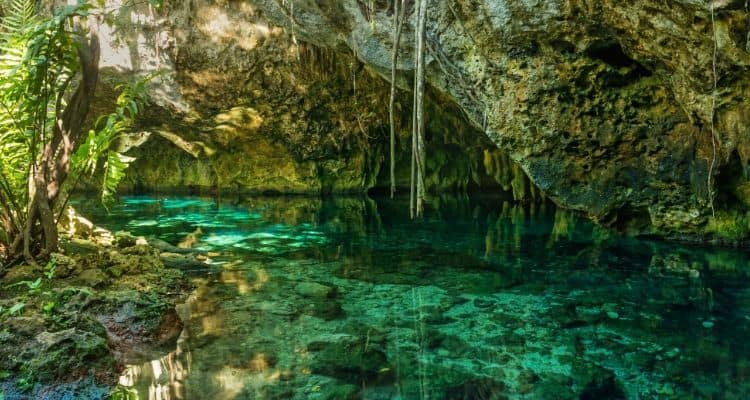 Gran Cenote Tulum23