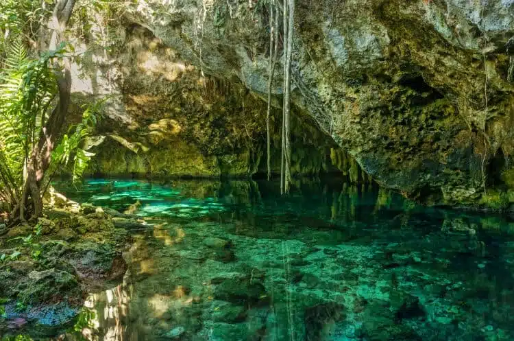 Gran Cenote Tulum