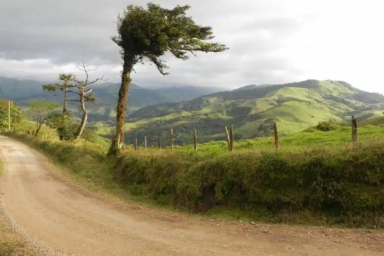 Ist Es Sicher, In Costa Rica Auto Zu Fahren44