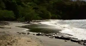 Playas del Coco Costa Rica - Coco Beach Costa Rica