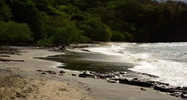 Playa Del Coco Costa Rica2