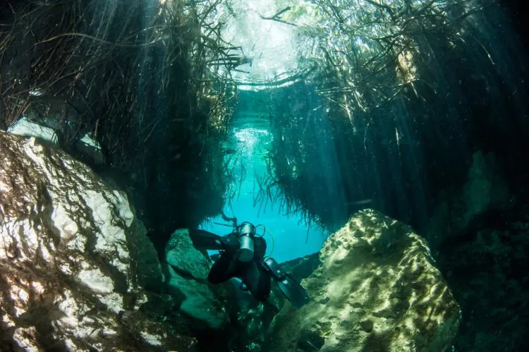 Scuba Diving In The Casa Cenote, Tulum, Mexico