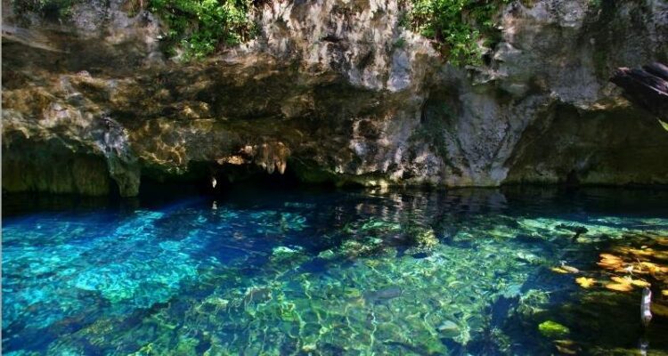 The Best Cenotes Tulum Mexico23