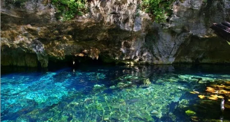 Les Meilleurs Cénotes De Tulum, Mexique 8 The Best Cenotes Tulum Mexico23