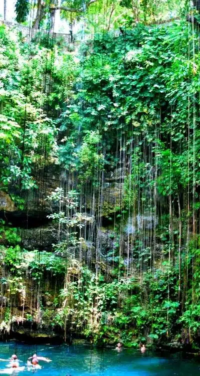 Les Meilleurs Cénotes De Tulum, Mexique 10 The Best Cenotes Tulum