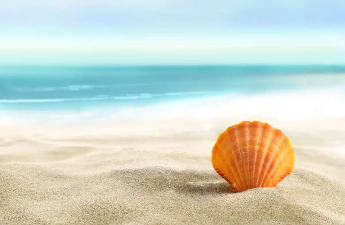 Inspirerende Strand Citaten1