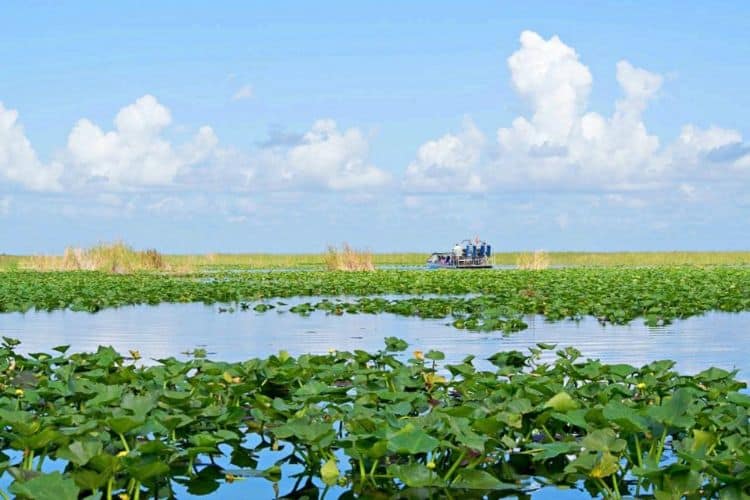 Airboat-In-Everglades