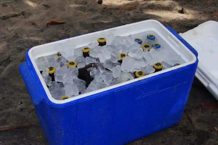 4 Best Costa Rica Beer Brands 1 Costa Rica Beer - Imperial beer bottles on ice